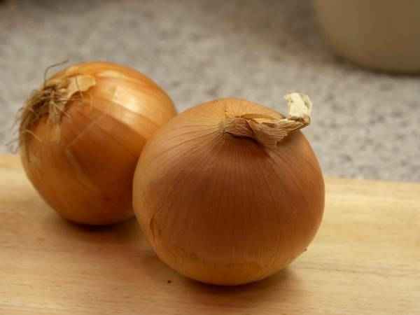 picture of onions